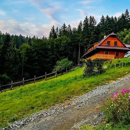 Biofarma Na Luce Villa Velké Karlovice Exterior foto