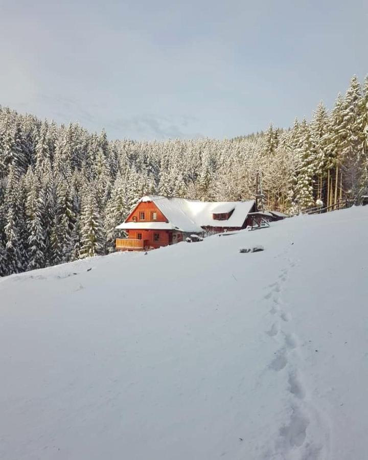 Biofarma Na Luce Villa Velké Karlovice Exterior foto